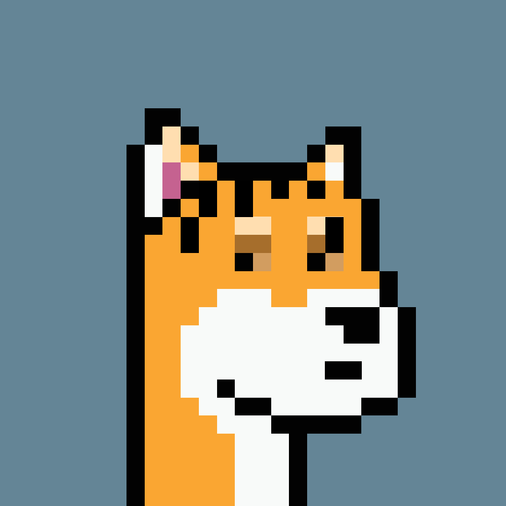 inscription 8538267e2ec1fae03f380297f1a328ccb5b99a0443c9ae34f80e9724a9d2b71fi0