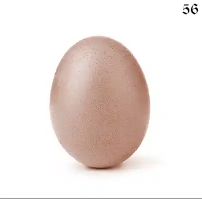 inscription 87dfb9ad141817a5cac3f29a3aef29c7ee23b8e72298861c28551758023730aai0