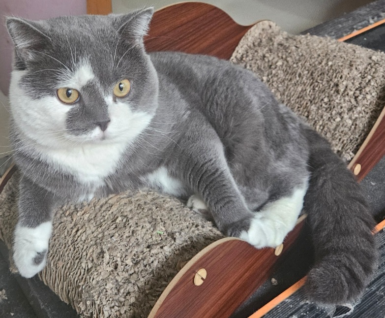 inscription 89c3470a86690e2b8e39a5531c05b4e0032662aec932a54dfcbd0f4ff4d33cfbi0