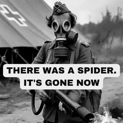 inscription 8c31b53fd5934647f95d5c7dc6225f3c55ca7e800a64500976f3a39303fc3f2di0