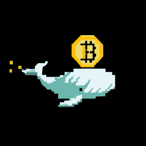 inscription 8c46d9b3ea007d83c07a791f4fc30bc5dca1c1fadbbb0728435e4bb86685dba3i0