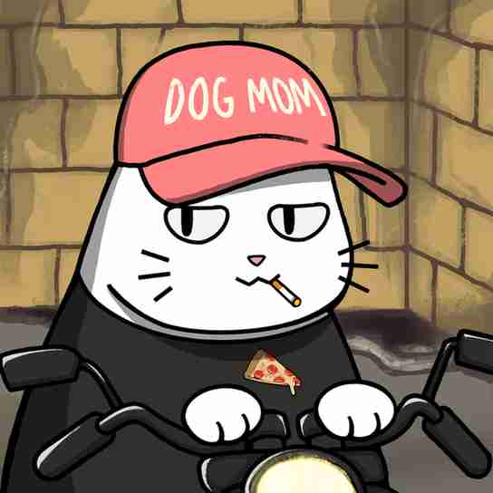 inscription 8c747ee76bd4049b967ff28c6208194818ee26e3b5f3fa71de6ac7a3b7446cd1i8