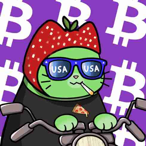 inscription 91750e7103a47e8fb19ad29089a81303767aa5b9f18d1801d74f4e1e1d612c31i5