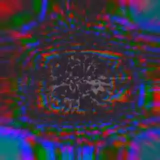 inscription 96bc8001d60c85b041c0e69331d1327bdec83225fb4b8c95ed538930feb3daa9i0