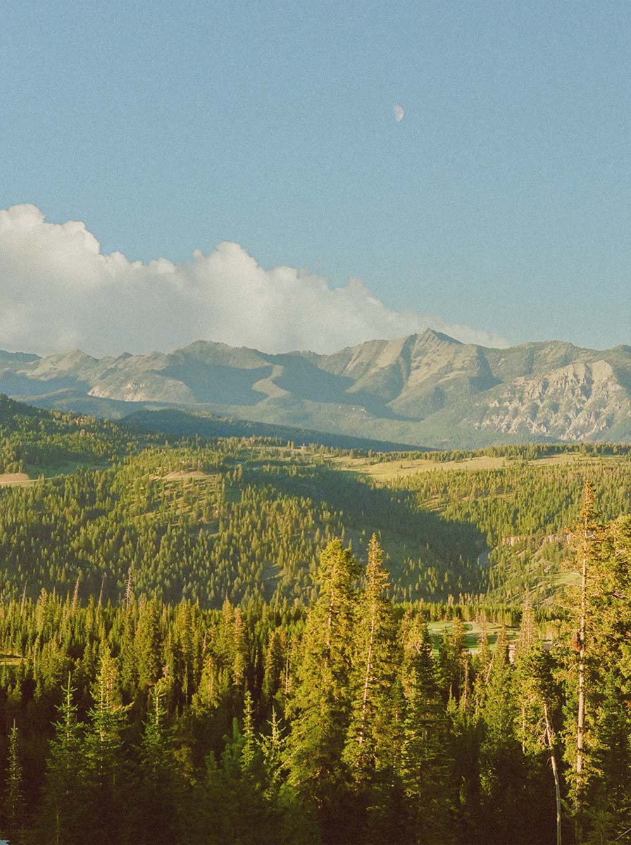 inscription 9c0b4b8d3f93df09dae7f30ef36eea381922b6b1a28ad81b7320be743190aea2i0