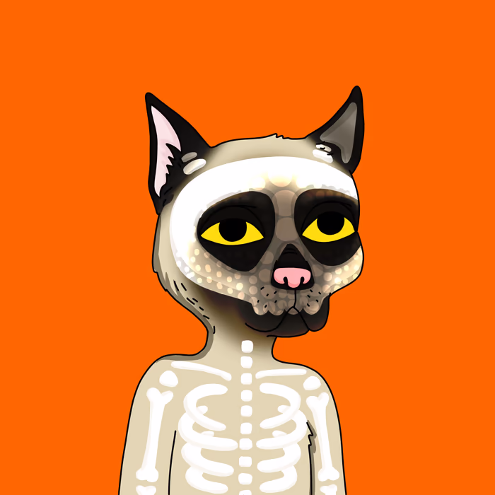 inscription 9c946fb69957e735db24c41d90a5a3bae4cb3a0dd9c4e696cf84c0874fa509c9i13