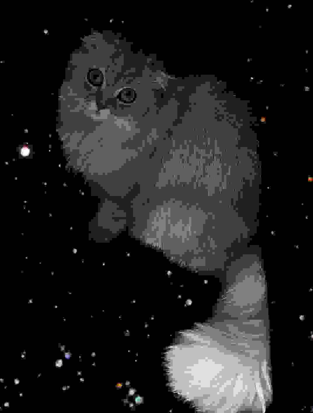 inscription 9d8d1e7dbcc8d4c9a1a9a8dd7ad22fa5151d16ce5636bf8863d7785680d1eb06i0