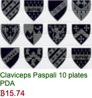 inscription a2cf52d010ce35b5cd4763541dba91ee0163fe9ca5421a1efa1f91133b63e4bfi0