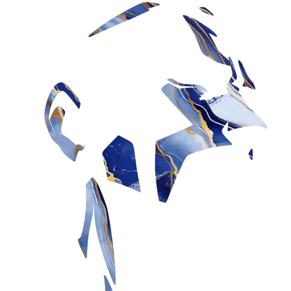 inscription a8b889f78eee643dc77c8915d432b23a3c602faea6969e73e77bbbea846bf06ai10