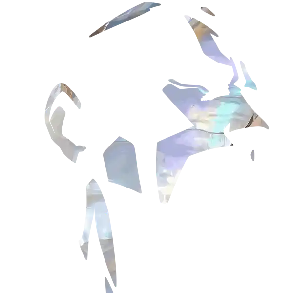 inscription a8b889f78eee643dc77c8915d432b23a3c602faea6969e73e77bbbea846bf06ai9