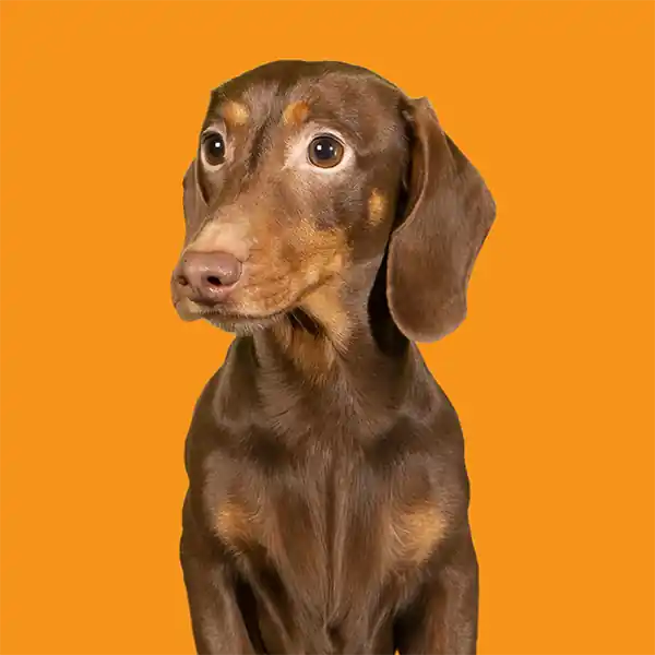 inscription aa69297451ece32b591ce5b5efb25a15dfb7cd3e6762da6edfdb4b15b1dd68d3i0