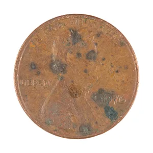 inscription b10a4f451aa534f6b50b95b1536ae9564d0d72dc264f9e162c76176734a92e72i0