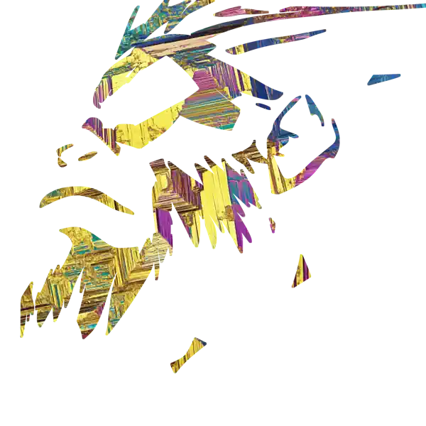 inscription b13154b00d577f3299f6caacd1f11bc9643ea8146ad8ec9663e97ff73b600961i1