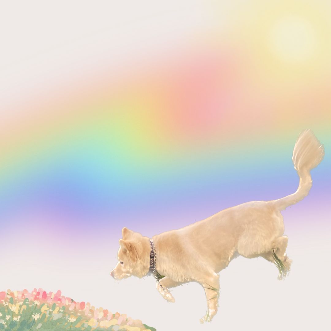 inscription b1adda04561075b4baf6ee6e9ba12a4ba775dc2d1c4cc1aaa99c5e020b18615bi0