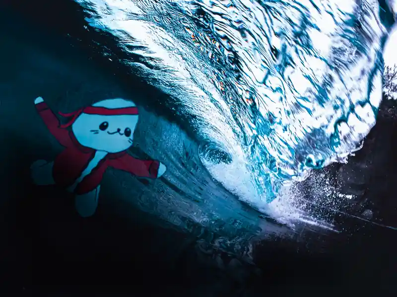 inscription b44b4b9ded680de1210e33ff416a747fbca16496c9fda9ac8eed871900afb834i0