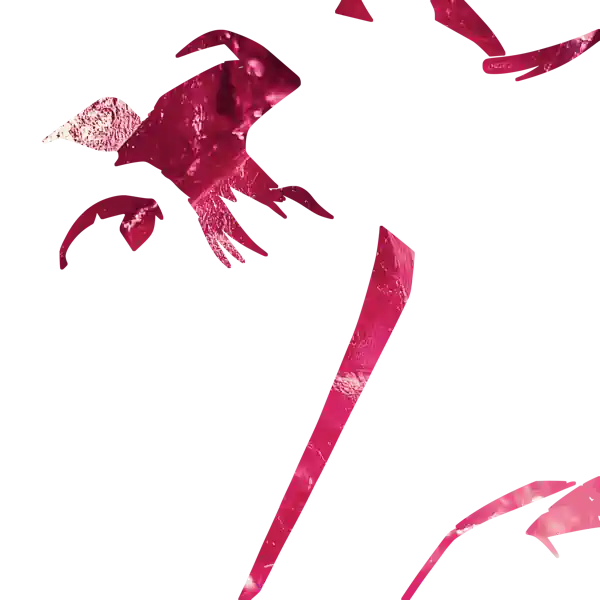 inscription b5806a7256f859974cf0c85bc6bf3f54c0daa57f9bc21c7430a5d99b4741d7c5i14