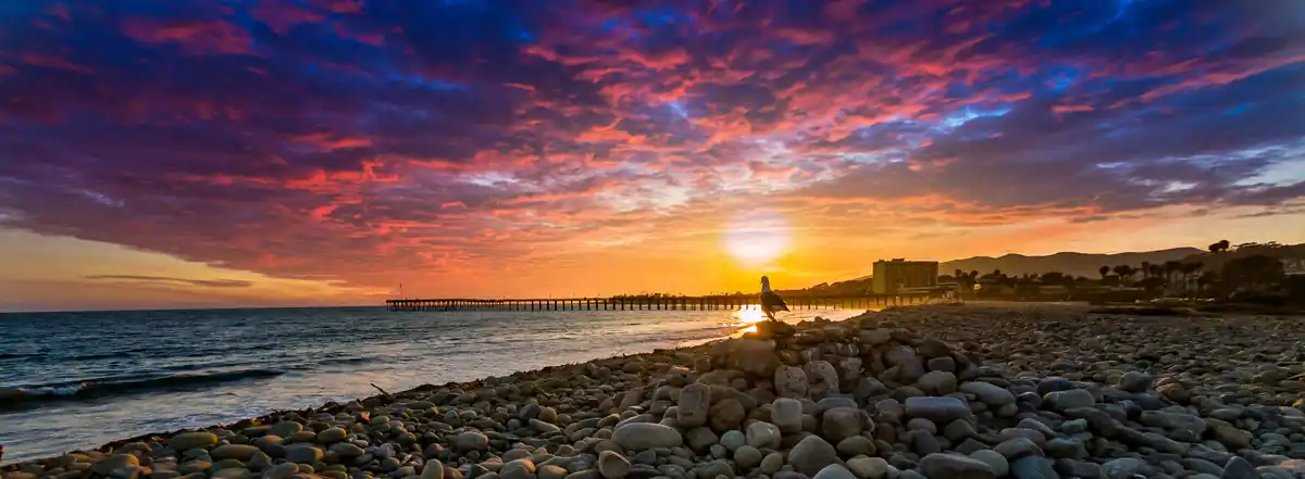 inscription b65ac40461e3ff2ecee874cc7c63c8d214d375ec209e0cb44ed7d8b36b7f1618i0