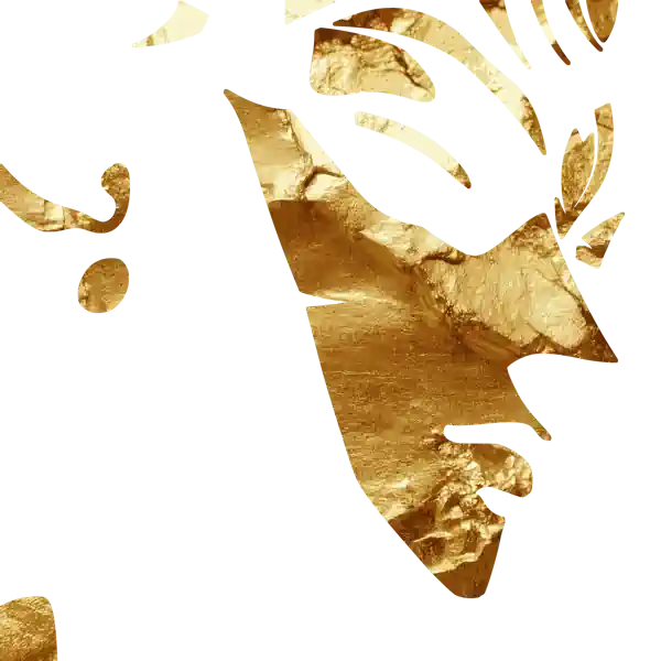 inscription b8a486d6dd84e45dc1e00c902f57efb24f559c33389d9b55c0dd75cbb636715ai6