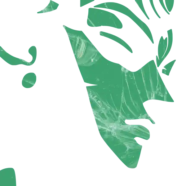 inscription b8a486d6dd84e45dc1e00c902f57efb24f559c33389d9b55c0dd75cbb636715ai7