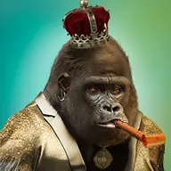 inscription bb69d47f83ca25245161e6ec7a7633735b1b6593f1b1b769df5fd9dee88b873ei0