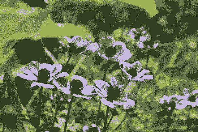 inscription c0efa1475903919c8c95a28ccd54efbad997a88ab7419216d4c37a63b75f6127i0