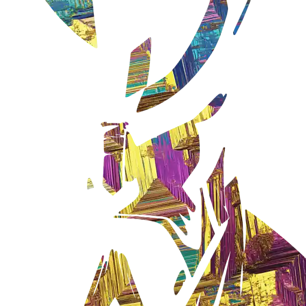 inscription c16ff3e253420107aaf6559aa4582e5a959b34658f32abaf37f7ee9f773c7efci2