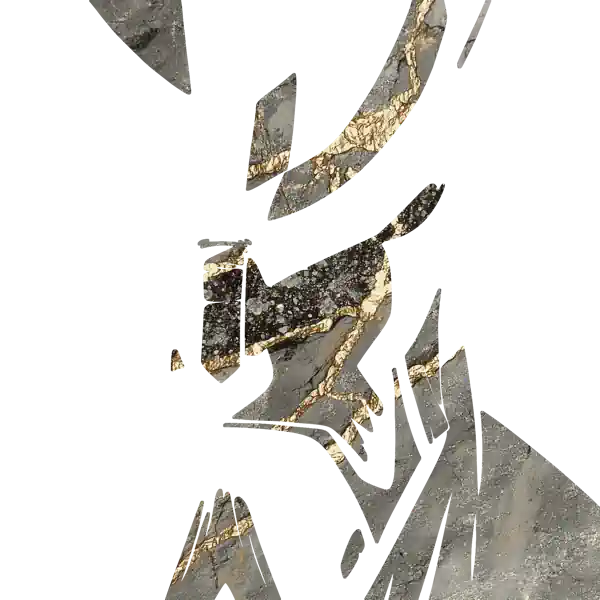 inscription c16ff3e253420107aaf6559aa4582e5a959b34658f32abaf37f7ee9f773c7efci6