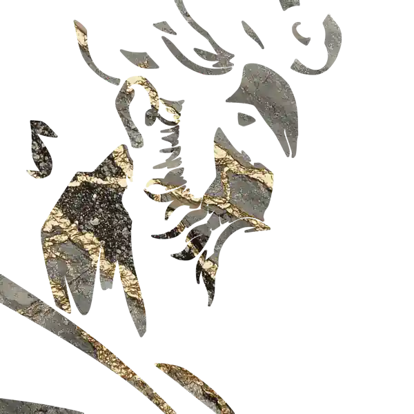 inscription c27f79a6339e43a2671621bd0f2d561e122debcfff6aebdea8a47e0777739baei15