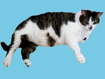 inscription c3e67bc588dbb53e5826f8661ad50df5747f82c99201155c20befb990554b1e0i0