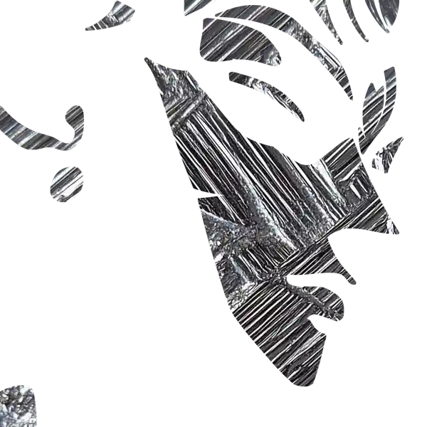 inscription c56e278f8e086c91fdb1153fc4778f1d1c328dca94e48630c564c1bc6934a09ei0