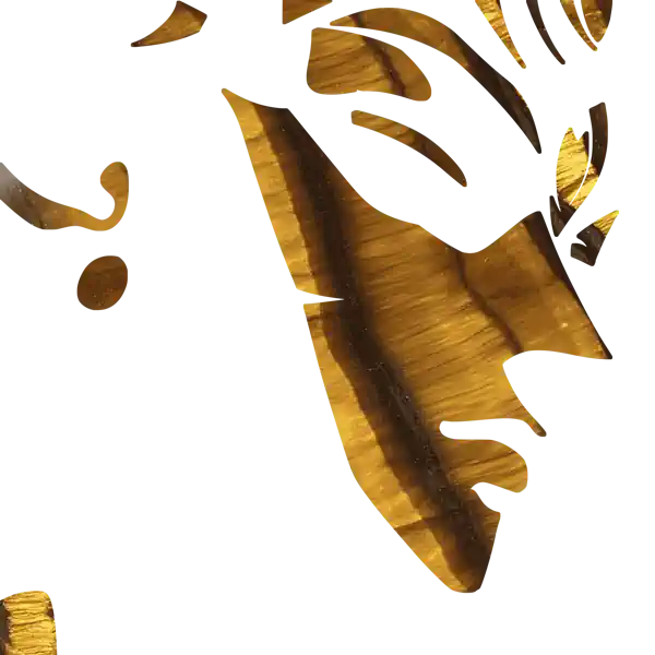 inscription c56e278f8e086c91fdb1153fc4778f1d1c328dca94e48630c564c1bc6934a09ei1