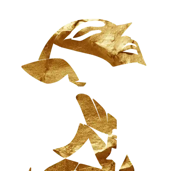 inscription c56e278f8e086c91fdb1153fc4778f1d1c328dca94e48630c564c1bc6934a09ei17