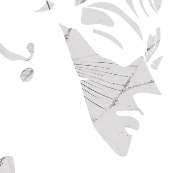 inscription c56e278f8e086c91fdb1153fc4778f1d1c328dca94e48630c564c1bc6934a09ei2