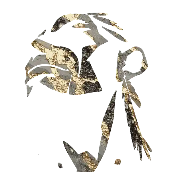 inscription c72e79eae3fd9bd5595271c3153383a8ed9a84a8b5461957cfee36d94aaa727di0