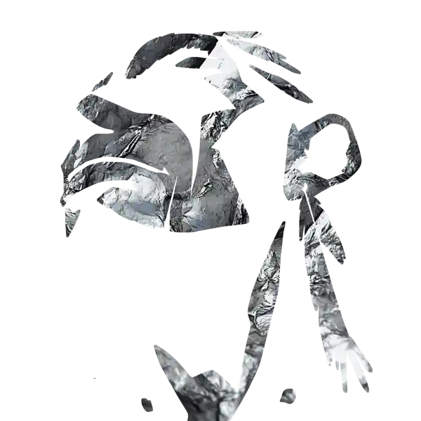 inscription c72e79eae3fd9bd5595271c3153383a8ed9a84a8b5461957cfee36d94aaa727di5