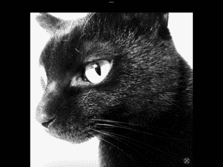 inscription c91a5d4065ad8666c147b0684b674b6feedd4ee860dfcd7226c71a4a63f827d4i0