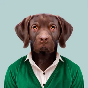 inscription c91b16188c037c6ea7df4ed58560f7f94291a761e53376a1d0e3da4ff1888a7bi0