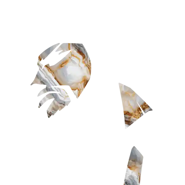 inscription d029c4b10c60f765768702eb530145f80e18dcb9a9e47ce8175bd67fa24cca50i12