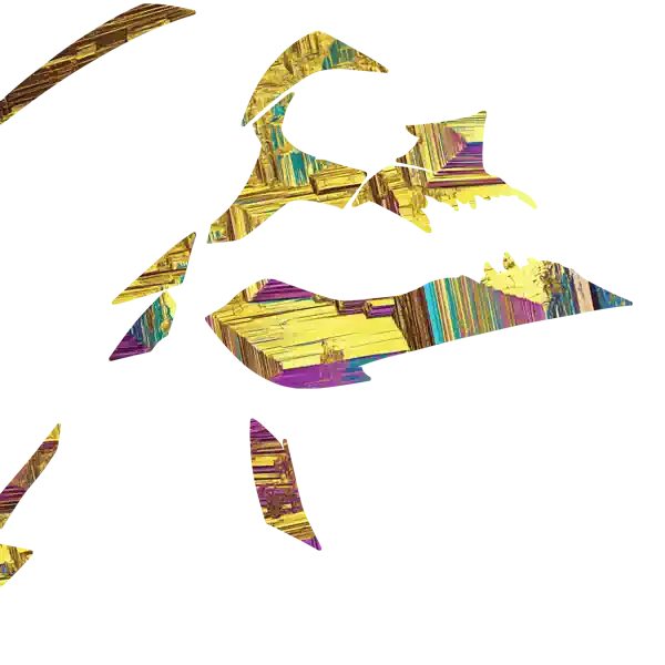 inscription d18614a7b1b3c1ec18e1d309a3ffa35e9ab7334ccf38948f917dfc1ecab4cae4i12