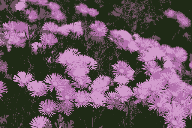 inscription d2f5a90c07abb30015a0b8762a35f1204aacb367a1b121a1378aa6c8878de9ffi0