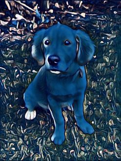 inscription d3edebcdb30c6e8449ba964516eaf745ada09997bb5ebf40a5831cb5c80a23a7i0