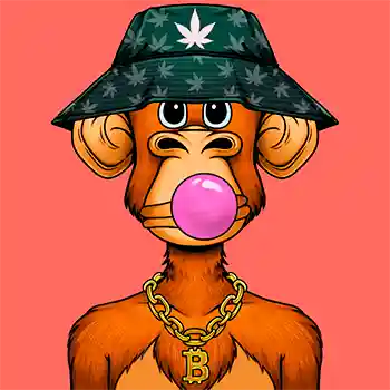 inscription d4d77e3d2a6daa1f6345d5fae74fc10596ef81554d260faa27892d6488002c86i0