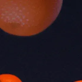 inscription db79eb20bfcee1f586fe050008f4f0797e0af5c6de8a45e0c7b67a7cc8dcd56di0