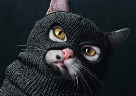 inscription df981af2a1d9a186a1b51152d9f4f18bcbea9bed91ed911c701045b3a6ce937ci0