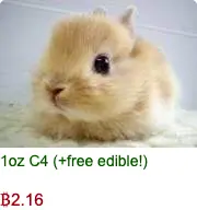 inscription dffb9805383511c582f55b89856a9fd895dff90d6e78e052668d0621a02f3c62i0