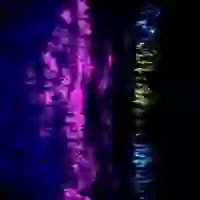 inscription e327b7029d31cd0ccb35d41fc54d9124f5fe75dd72ce1732f6ba77c14af5f32di58