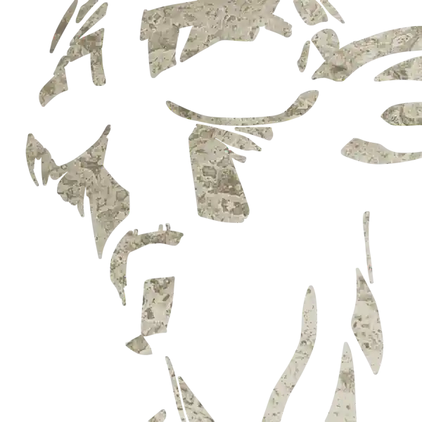 inscription e42224f1512c143e0495a9315d1433450164c5fb18dabf4db443005e59d8d70fi5