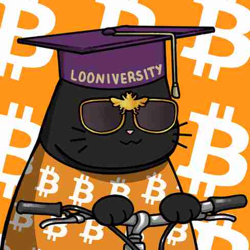 inscription e6db72c5022875b40d009467da6594c6f3dcdcdb79c3efb1318abf8e56b37316i15