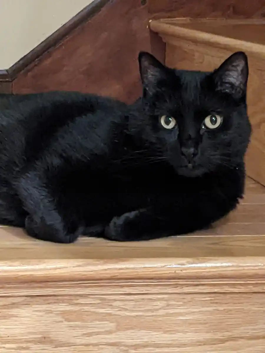 inscription ec38d76d923fbfe05f059e193b48da4eb9e0ff57e30cbc69725ab73cf0edba00i0