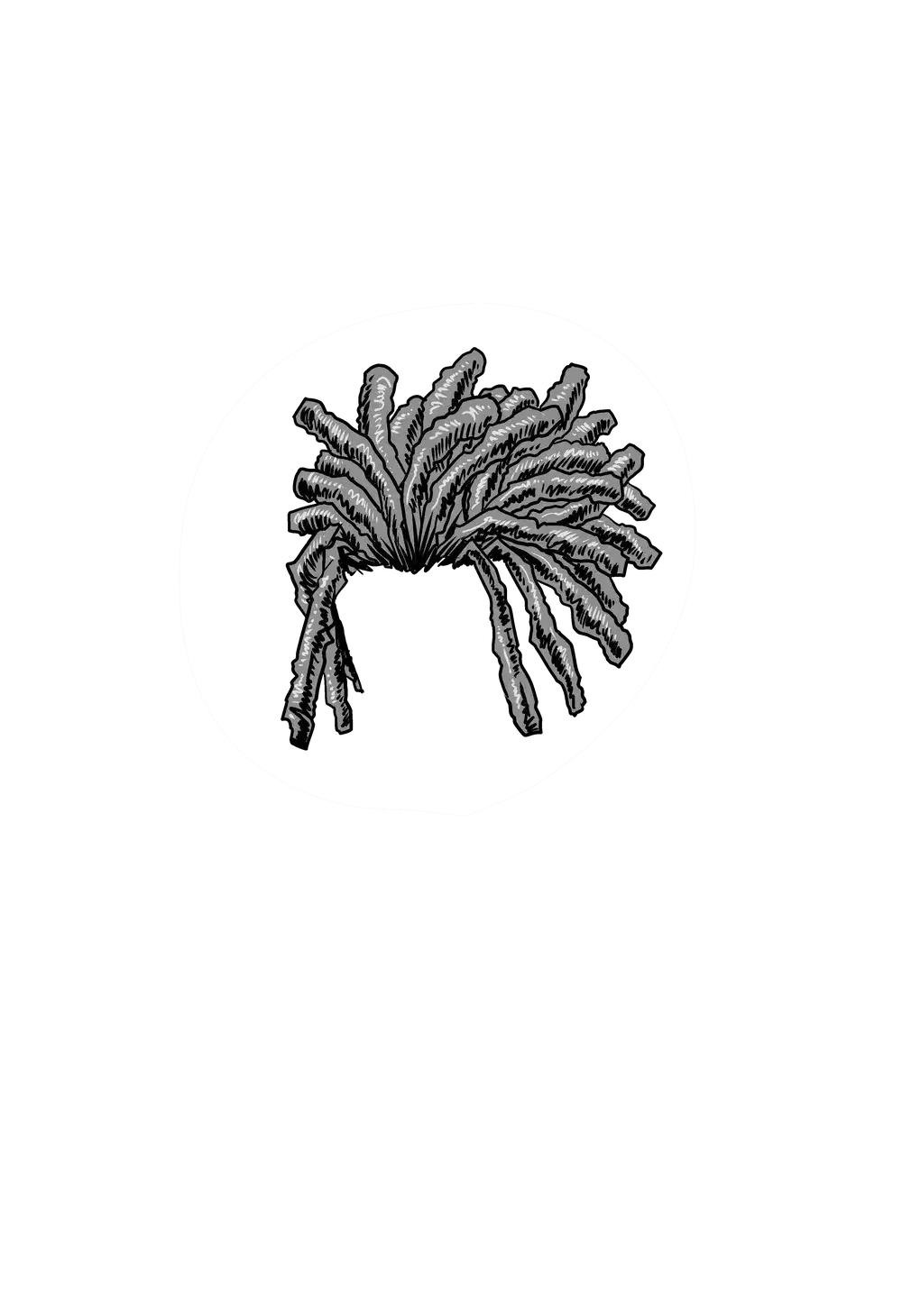 inscription ec65eb4e69e8b1daac7d9b9f5f4838d30c7fb4d9c89534195dc13c46d8f3e0cci0